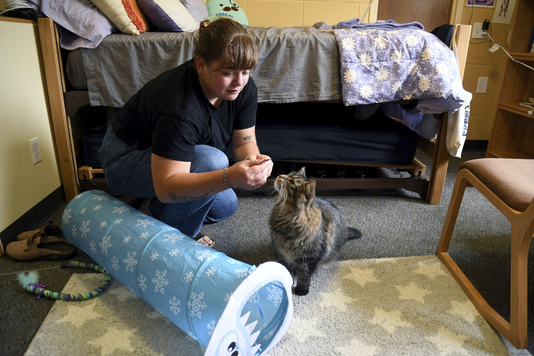 Be Well-Education-Pet-Friendly Dorms